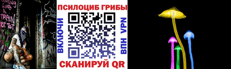 Псилоцибиновые грибы Magic Shrooms  где купить   Горячий Ключ 